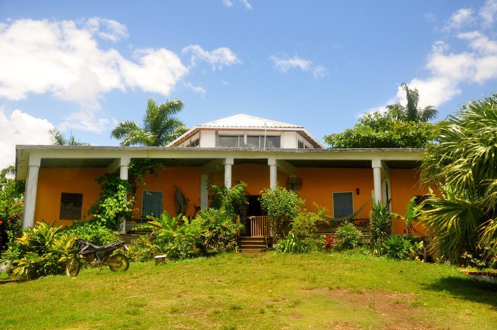 Germaican Hostel Port Antonio Zewnętrze zdjęcie